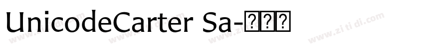UnicodeCarter Sa字体转换